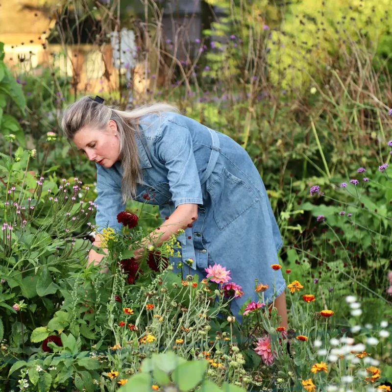 Boudien de Graaf beplantingsplan